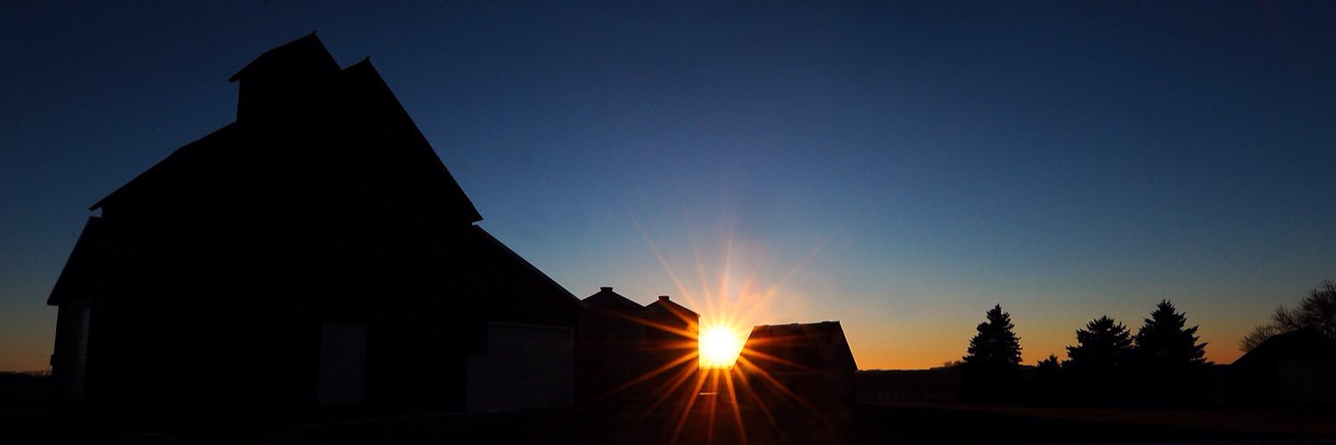 Michael McLoone banner