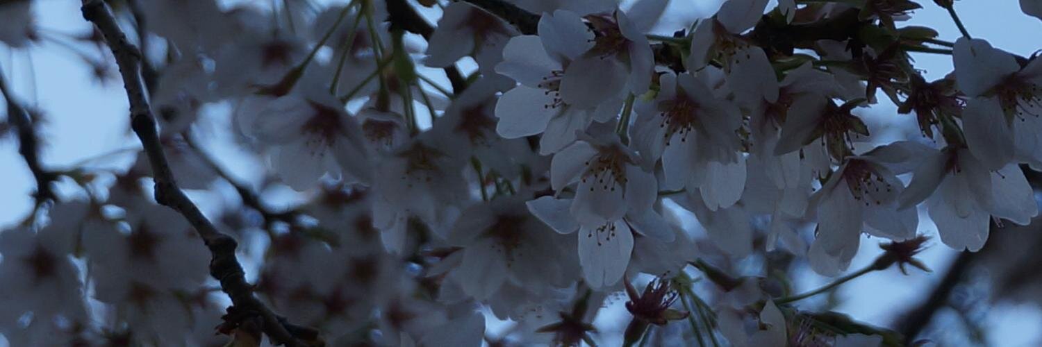 masahiro64's profile banner image