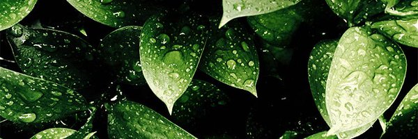 EndeavourCNH Profile Banner