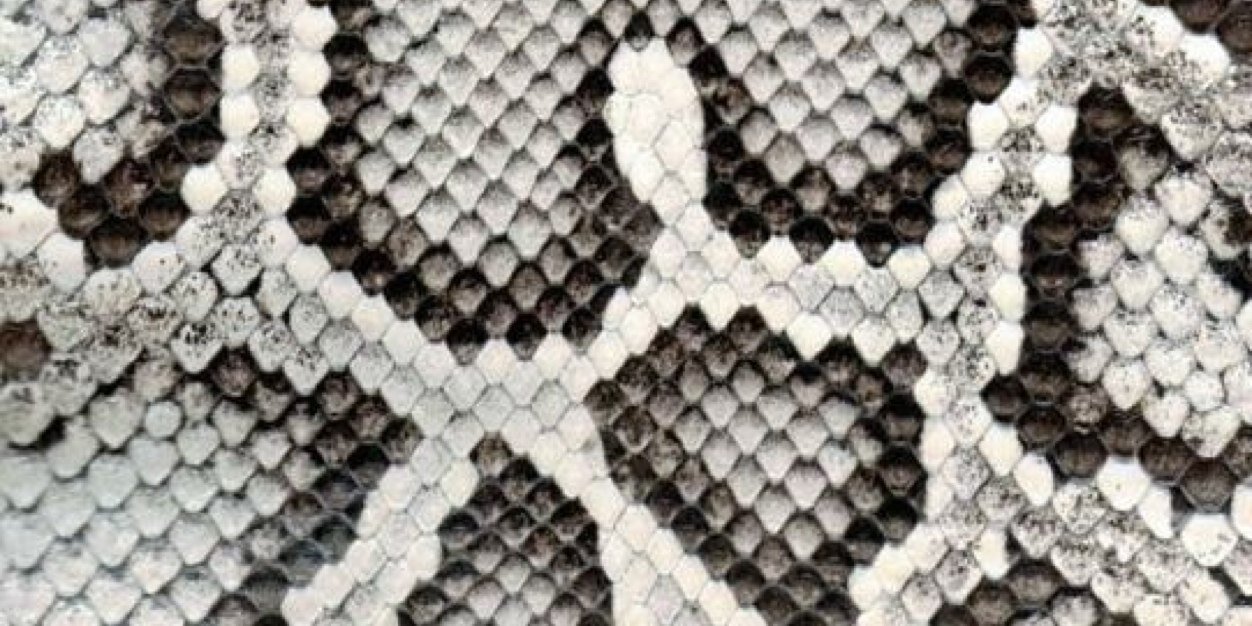 1998melanie's profile banner image