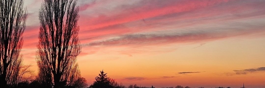 JoeWeatherWX_ banner