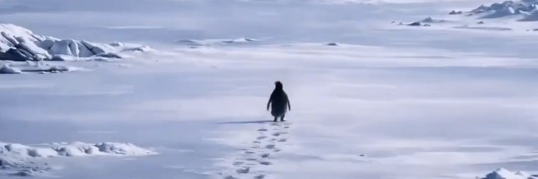 M*nfred (Neuj*hrlich) banner