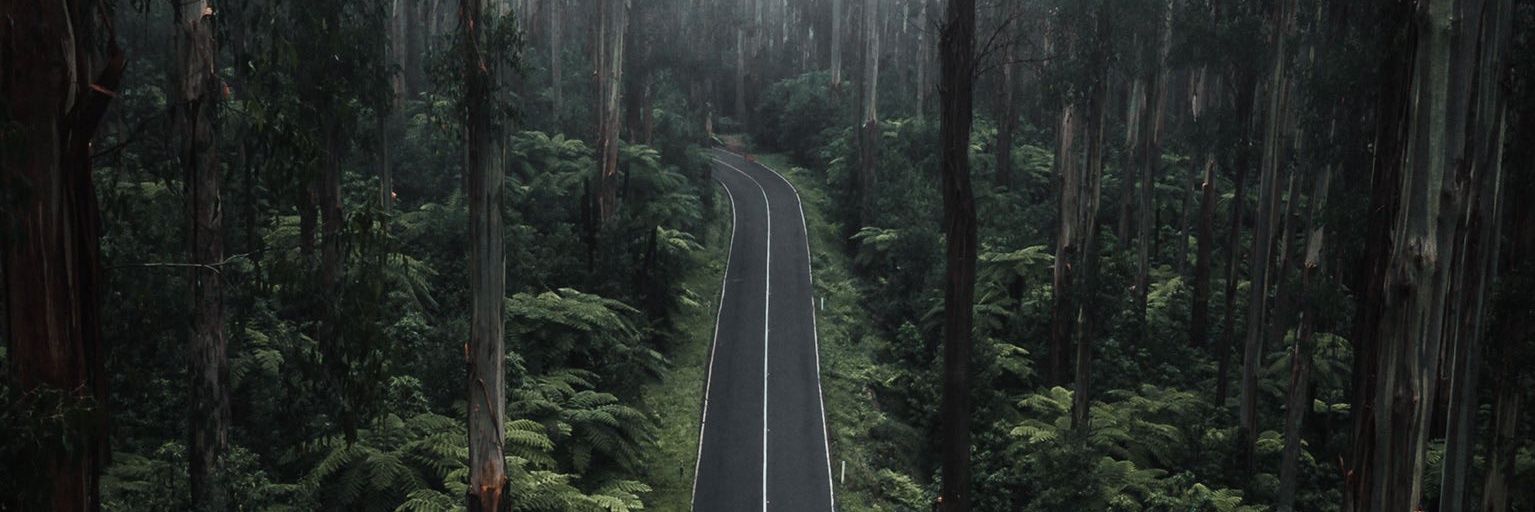 WisdomJack_L's profile banner image