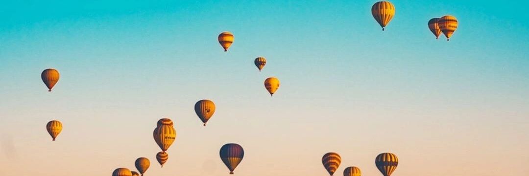 Dmitri Fedorović banner