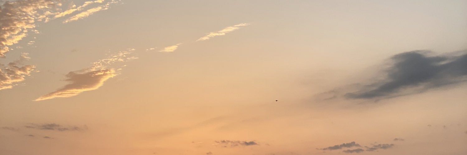 BrynnnMartin's profile banner image