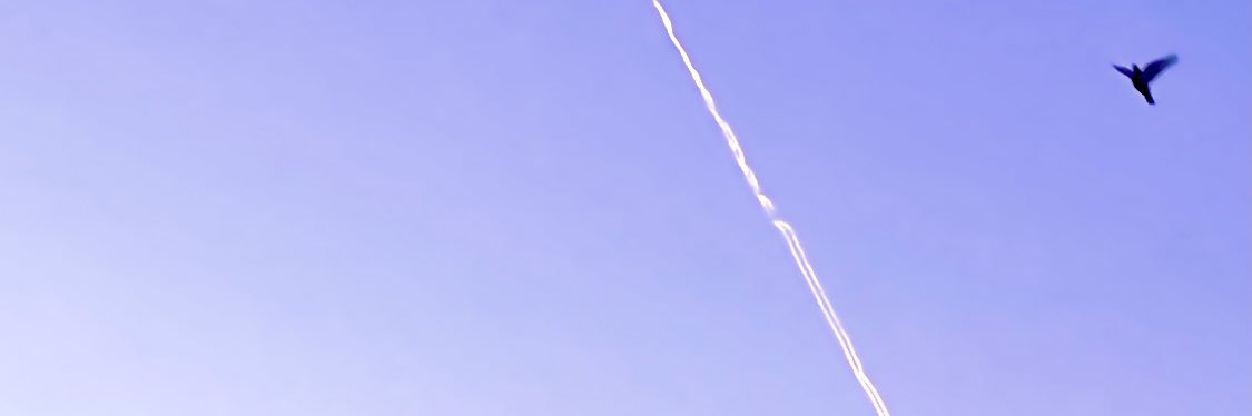 Starscweam's profile banner image
