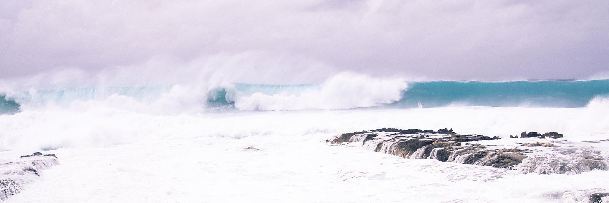 Davor Šavija banner