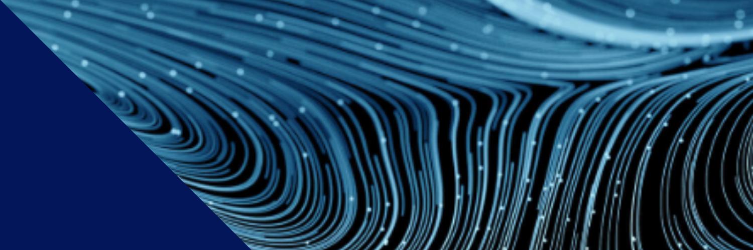 Erdyn banner