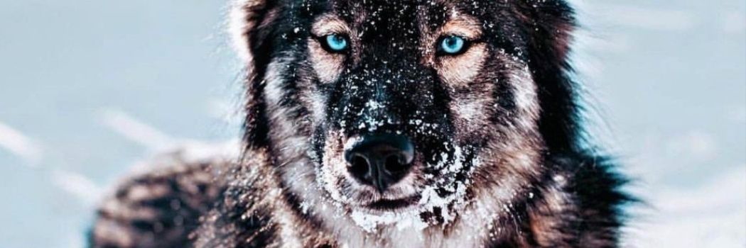 abtuuuu's profile banner image