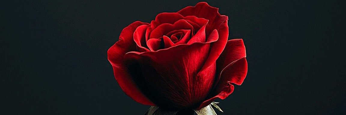 🌟+221 🌟🇸🇳 banner