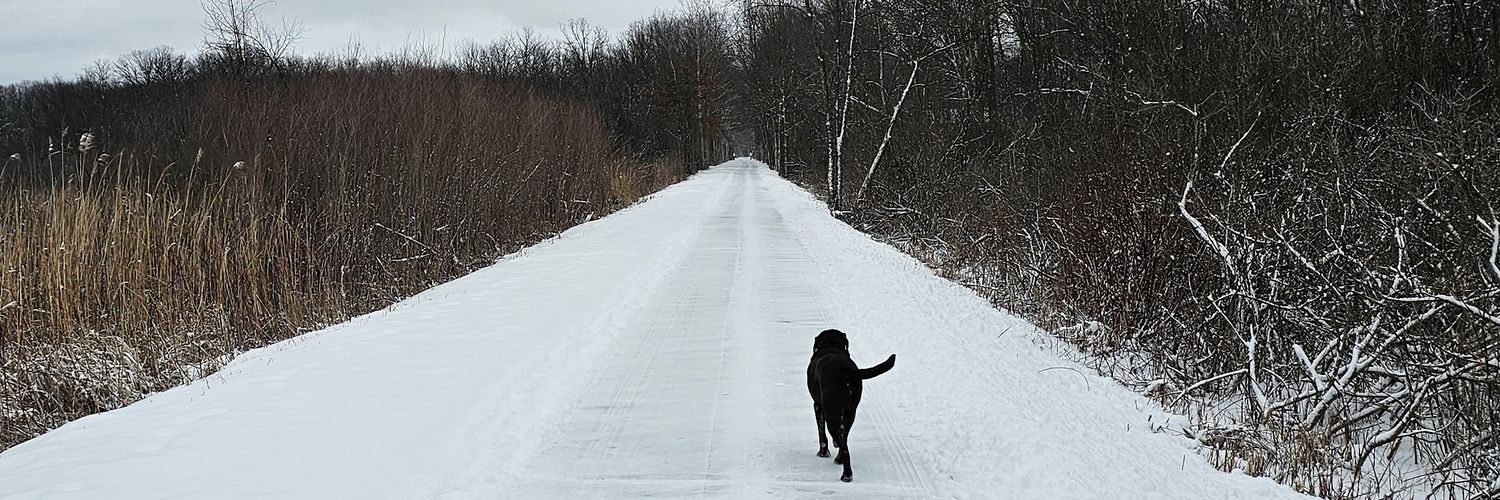 ZylkaAdam's profile banner image