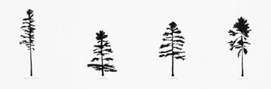 phoebe_sellars's profile banner image