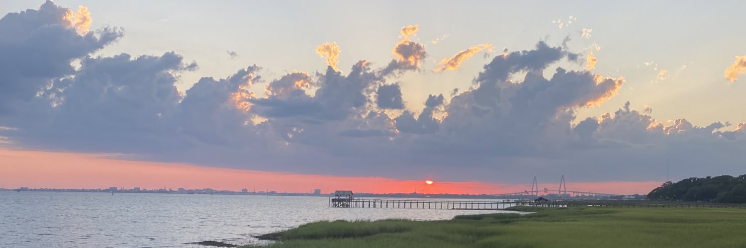 Kaylee banner