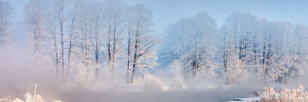 BelayaRus_'s profile banner image