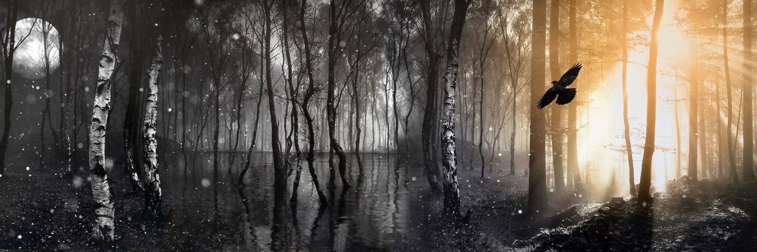 Mark Chadderton banner