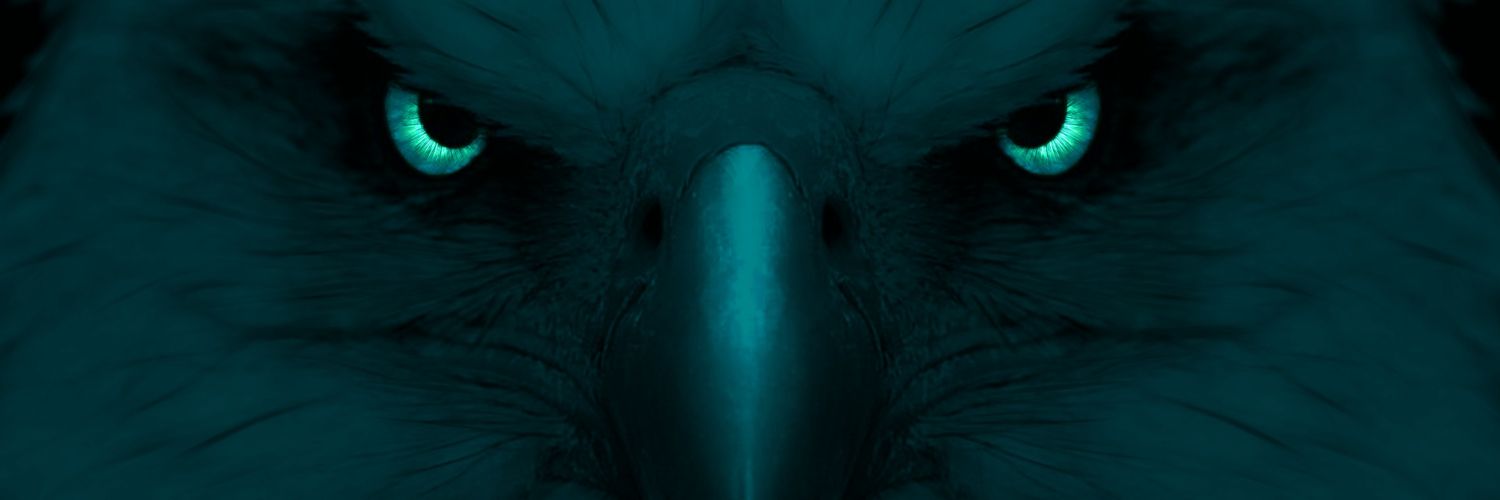 CodeSlinga's profile banner image