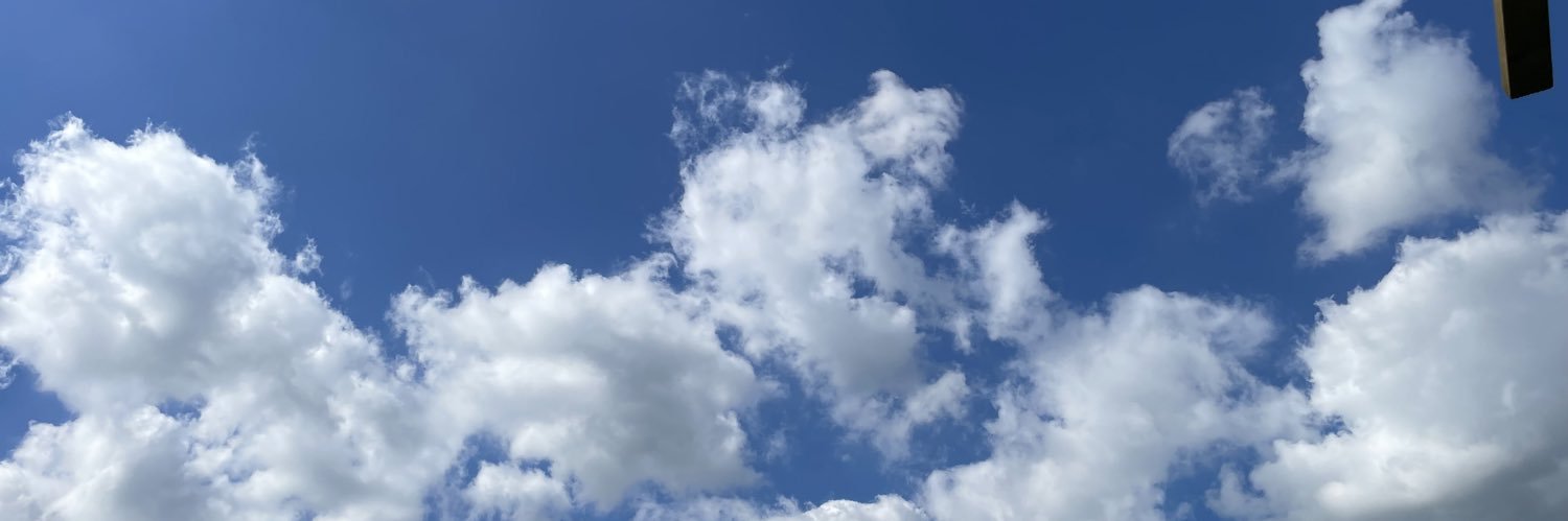 SuzanneNye's profile banner image