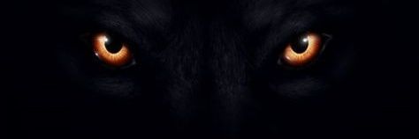 jixcajoc08's profile banner image
