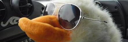 teedicson's profile banner image
