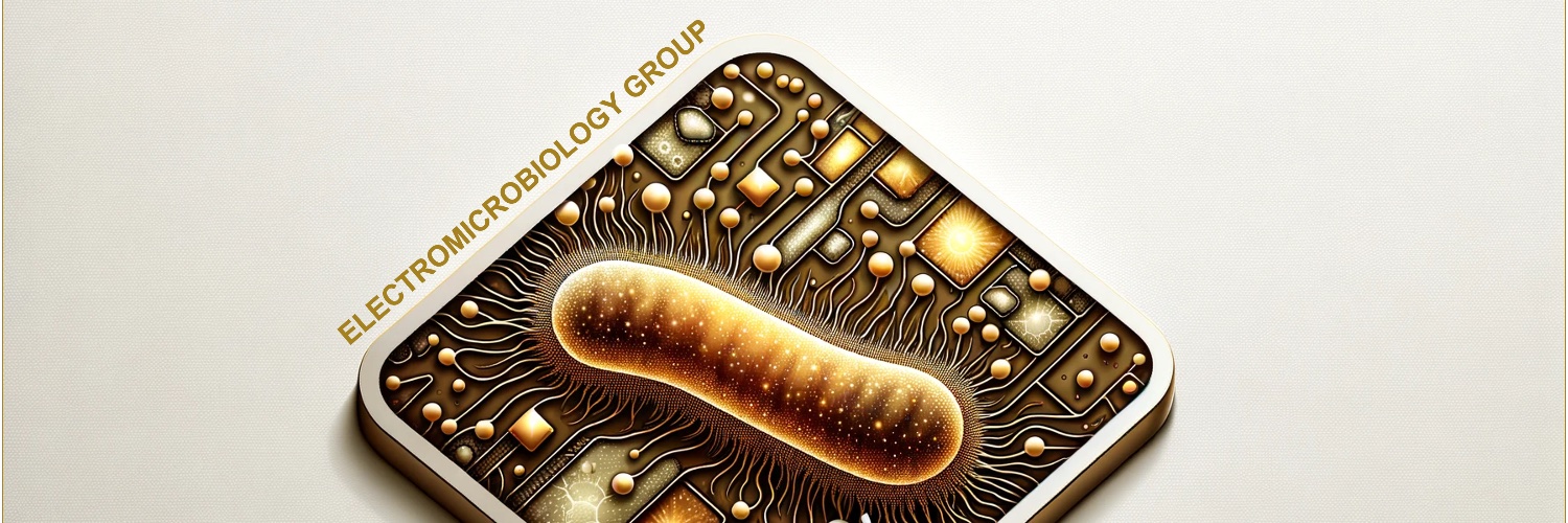 Lucinda Doyle banner