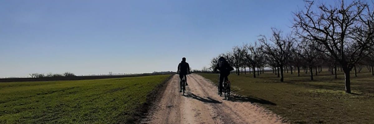 Kawerdasis's profile banner image