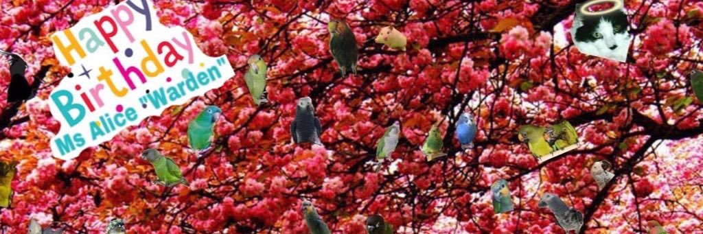 jarjaw7's profile banner image