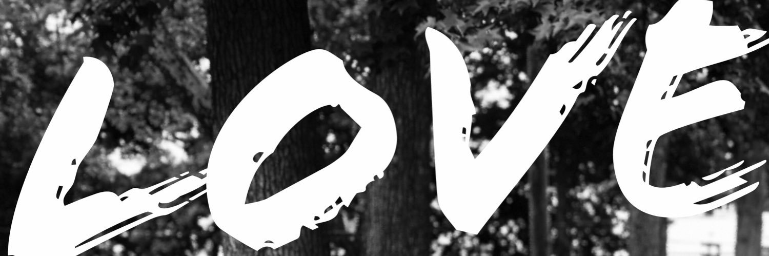 davidroyzen's profile banner image