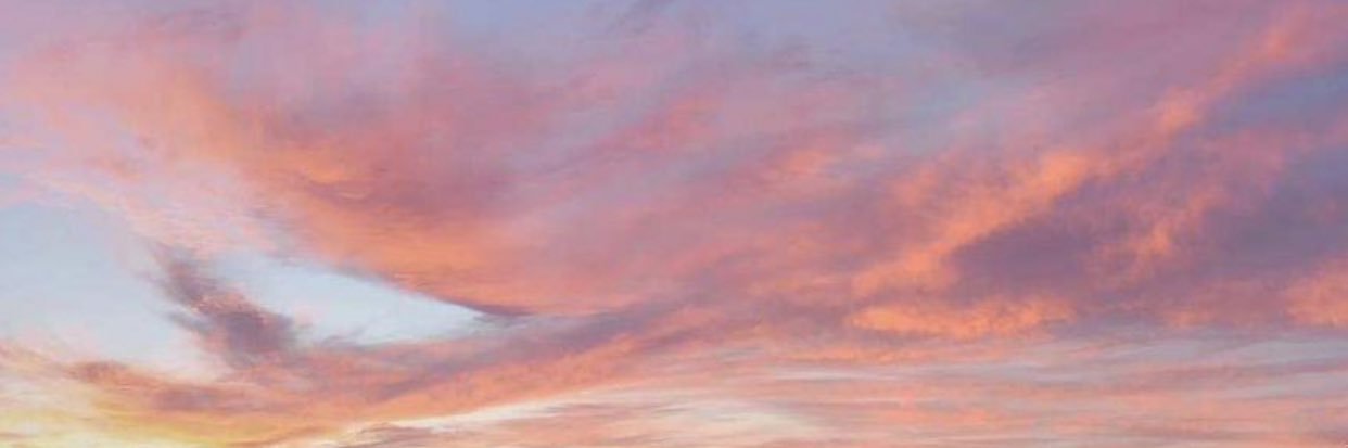 walliswray's profile banner image