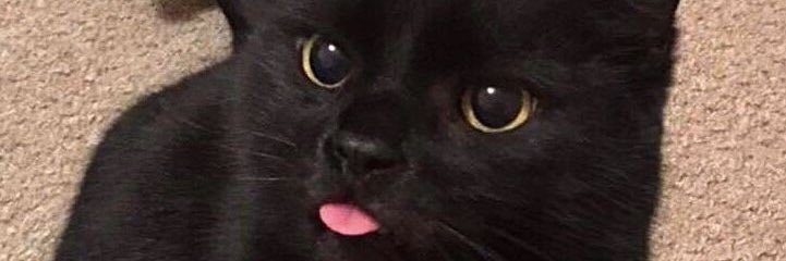 catieg237's profile banner image