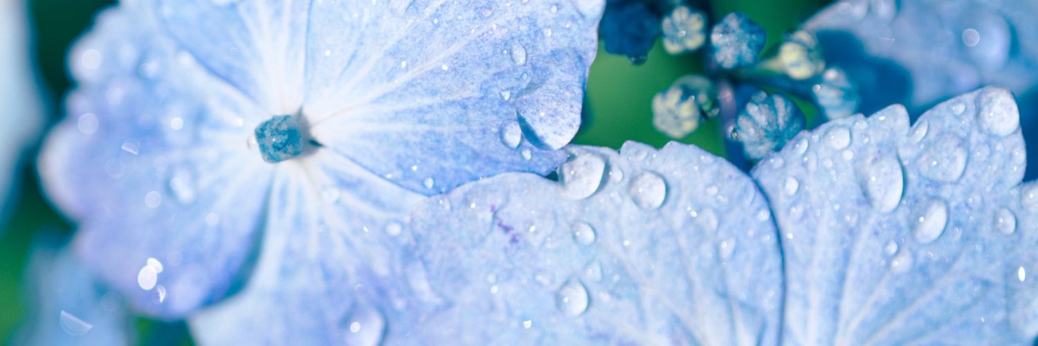 heliottrope02's profile banner image