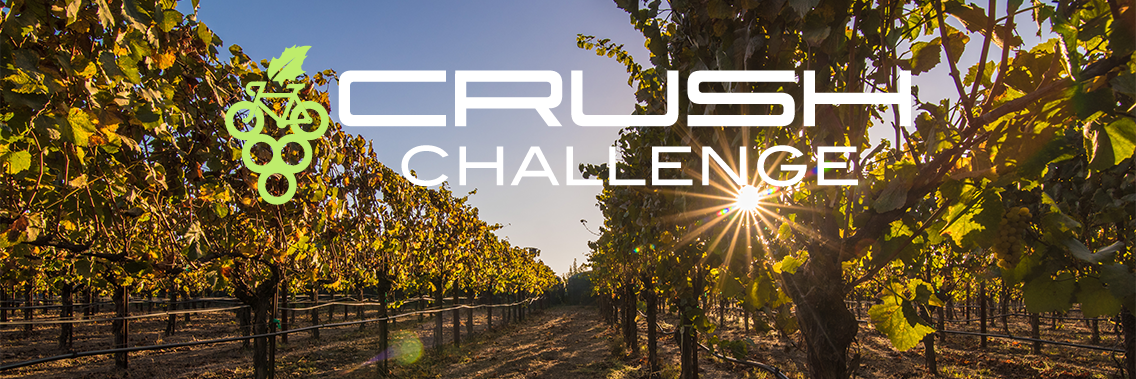 Crush_Challenge banner