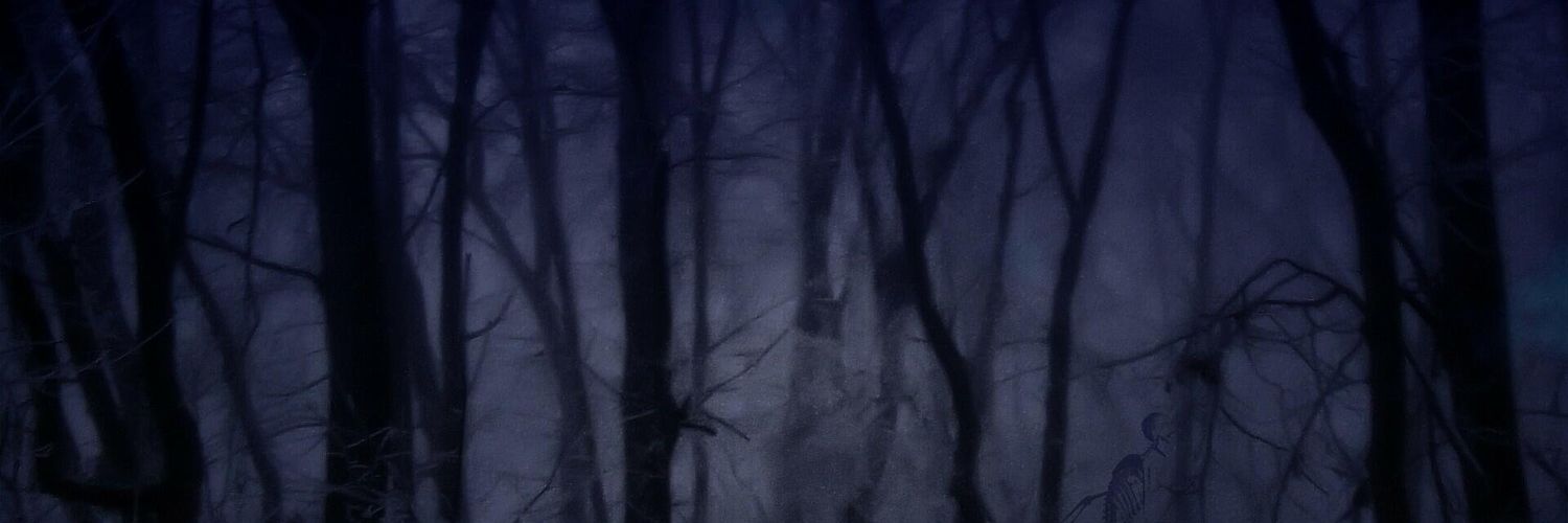 sheriff_tw's profile banner image