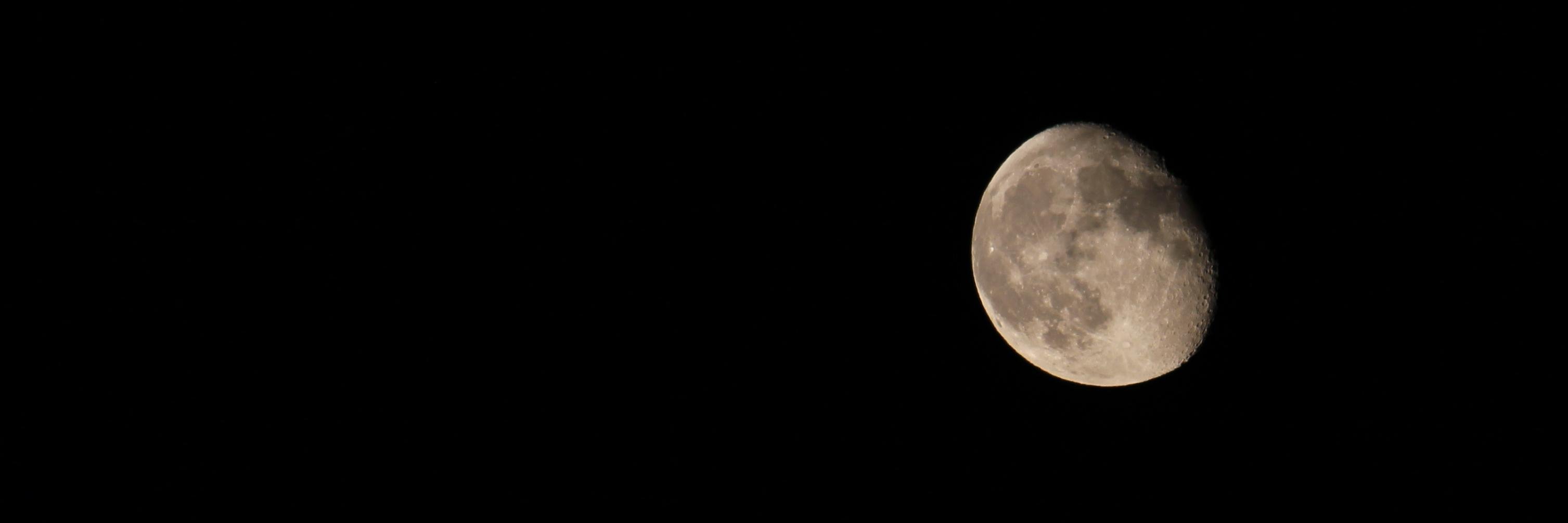 bat_news's profile banner image