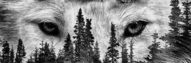 Carlagreen66My's profile banner image