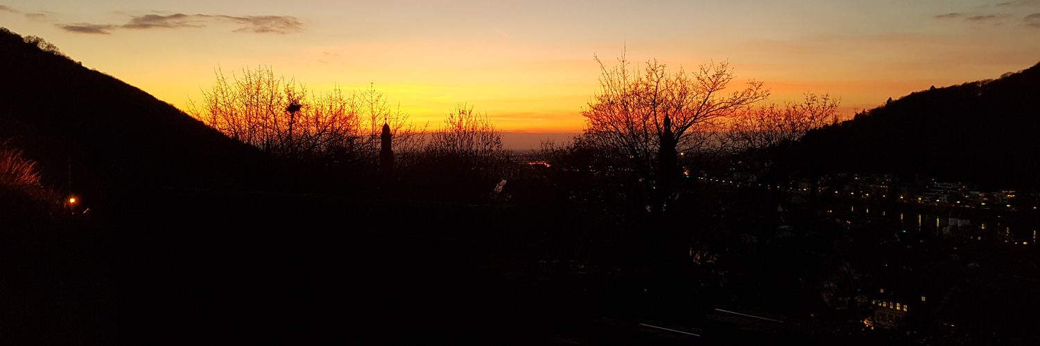 Sam Greenwood banner