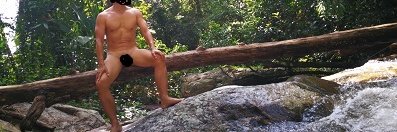 cmguycnx's profile banner image