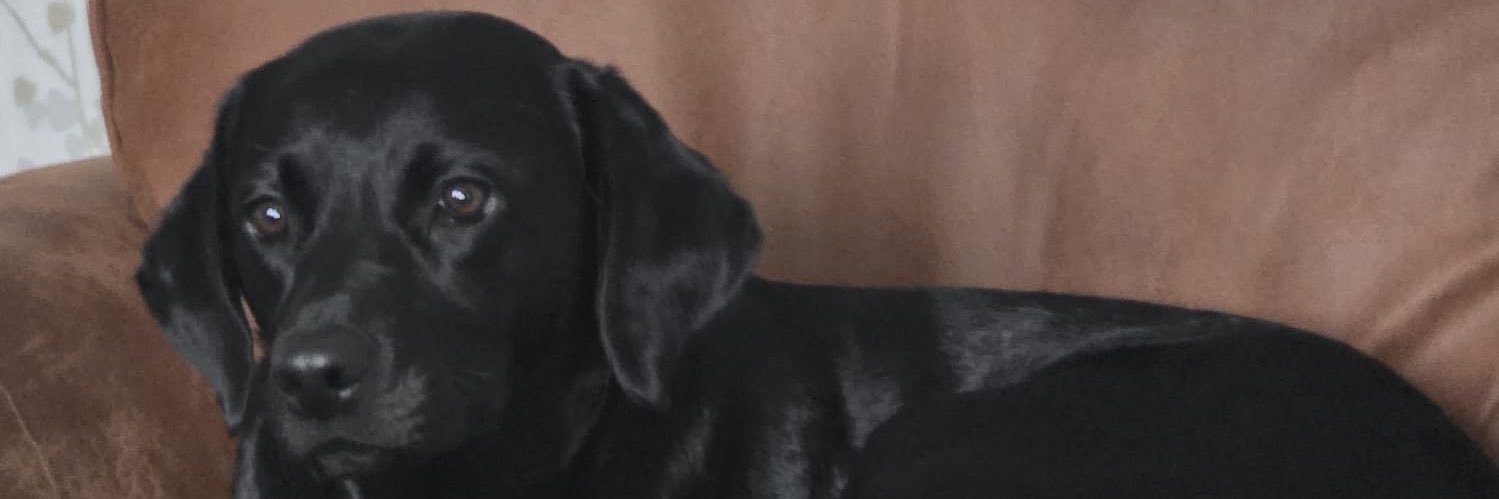 HaddonAshley's profile banner image