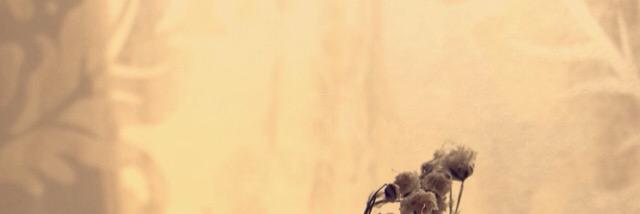 MoOontage's profile banner image