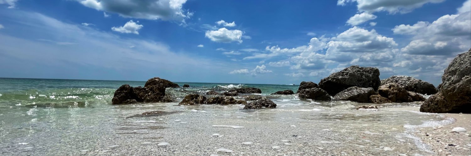 haleyZdeitz's profile banner image
