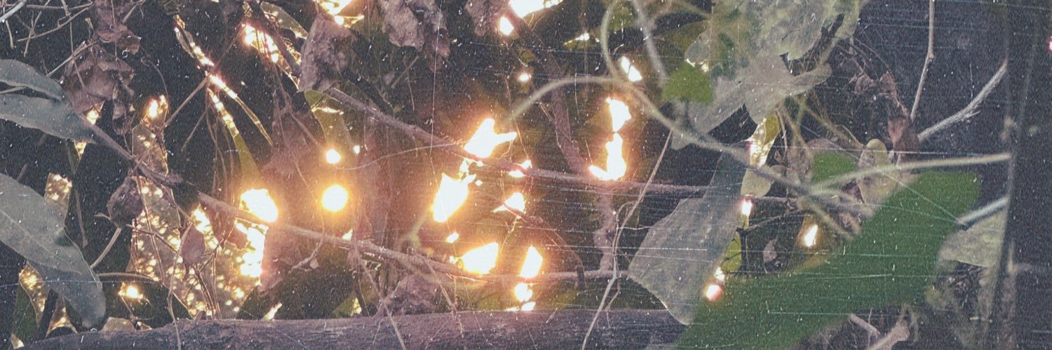 _daysofHey's profile banner image