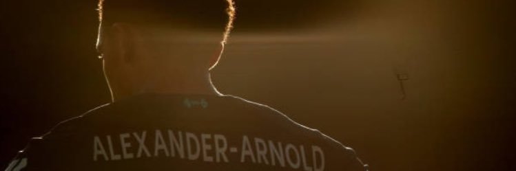 Han Solo banner