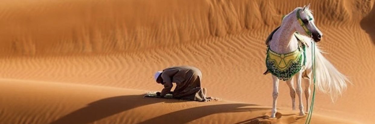 مشاري بن ثامر ابن شلهوب banner