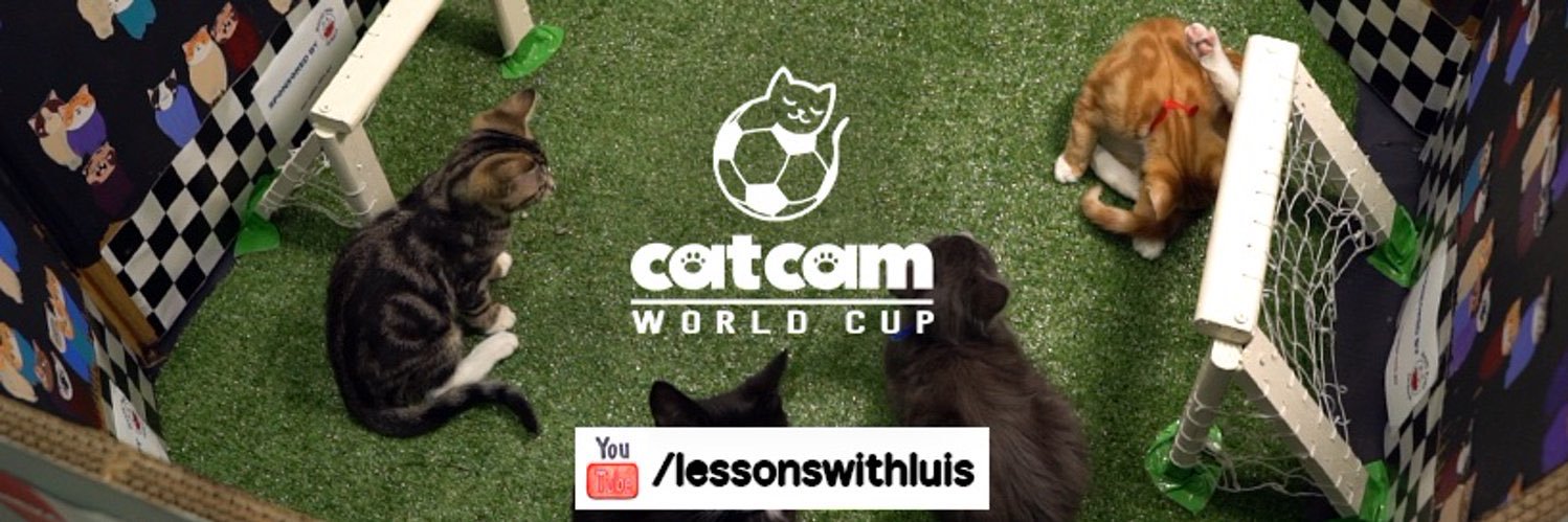 catcamc31's profile banner image