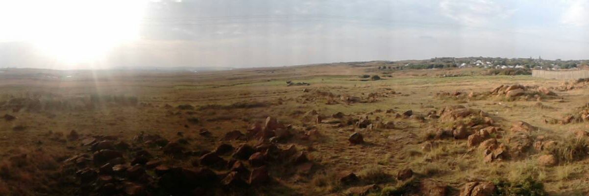 Really_magnetic's profile banner image