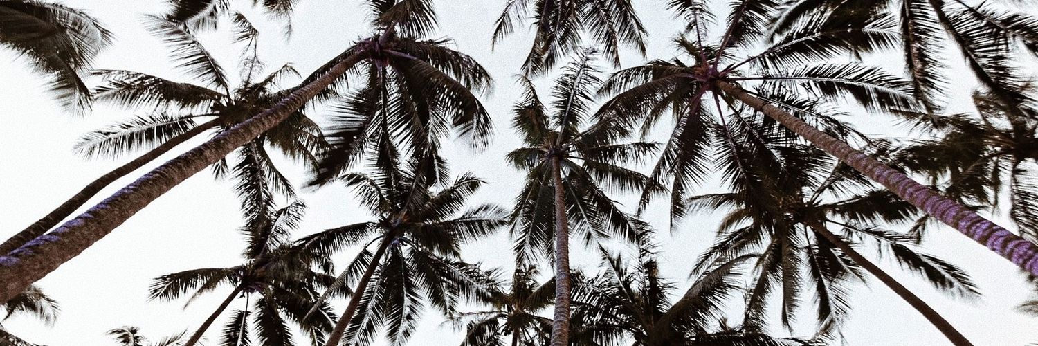 pamperloo's profile banner image