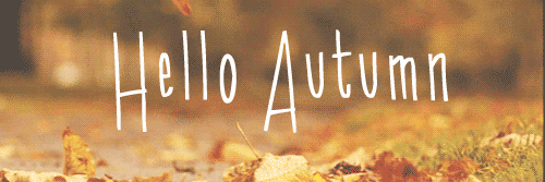 AuttieLo's profile banner image