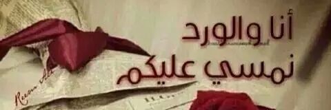 mnaralsami's profile banner image