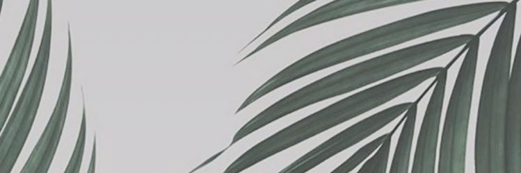 itrafajales's profile banner image