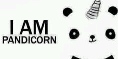itsninaspgdr's profile banner image