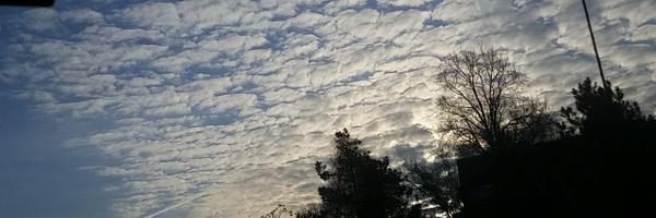 Daviology38 Profile Banner